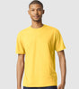 Gildan Adult Softstyle CVC T-shirt (64000CVC)